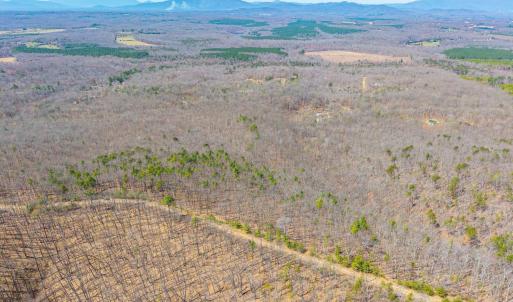Photo #21 of Larkin Mountain, Amherst, VA 20.4 acres