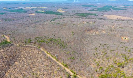 Photo #4 of Larkin Mountain, Amherst, VA 20.4 acres