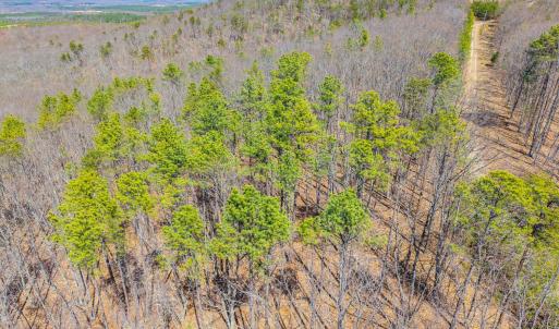 Photo #33 of Larkin Mountain, Amherst, VA 20.4 acres