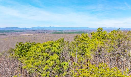Photo #31 of Larkin Mountain, Amherst, VA 20.4 acres