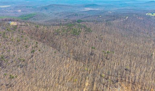 Photo #16 of Larkin Mountain, Amherst, VA 20.4 acres