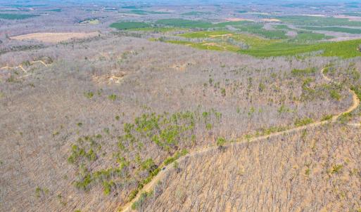 Photo #23 of Larkin Mountain, Amherst, VA 20.4 acres