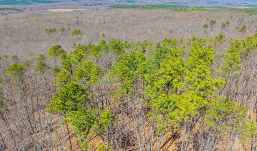Photo #32 of Larkin Mountain, Amherst, VA 20.4 acres