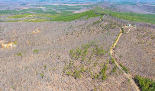Photo #25 of Larkin Mountain, Amherst, VA 20.4 acres