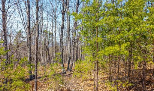 Photo #28 of Larkin Mountain, Amherst, VA 20.4 acres