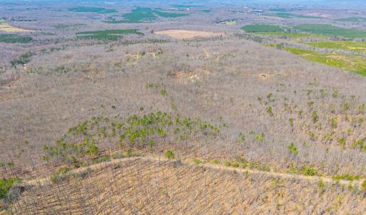Photo #22 of Larkin Mountain, Amherst, VA 20.4 acres