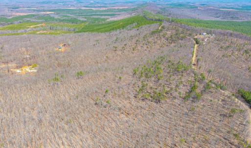 Photo #6 of Larkin Mountain, Amherst, VA 20.4 acres