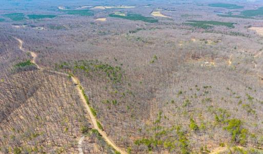 Photo #20 of Larkin Mountain, Amherst, VA 20.4 acres