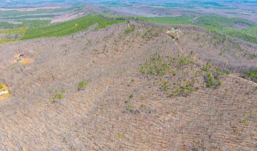 Photo #8 of Larkin Mountain, Amherst, VA 20.4 acres