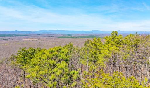 Photo #31 of Larkin Mountain, Amherst, VA 20.4 acres