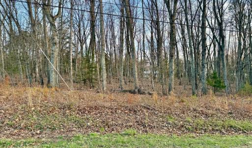 Photo #1 of Spring Street, Hurt, VA 0.9 acres