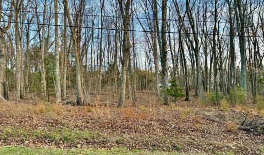 Photo #3 of Spring Street, Hurt, VA 0.9 acres