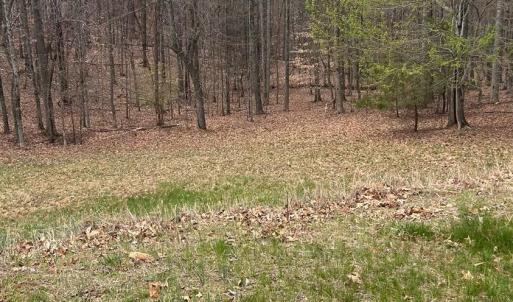 Photo #1 of 2 Gilfield, Forest, VA 1.1 acres