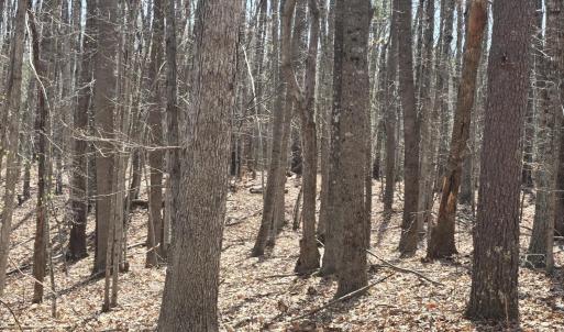 Photo #1 of Equestrian Trail Road, New Canton, VA 26.6 acres