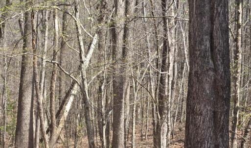 Photo #1 of Equestrian Trail Road, New Canton, VA 11.1 acres