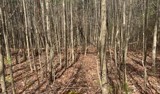 Photo #2 of Blue Ridge Lane, Monroe, VA 5.0 acres