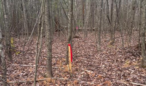 Photo #13 of Blue Ridge Lane, Monroe, VA 5.0 acres