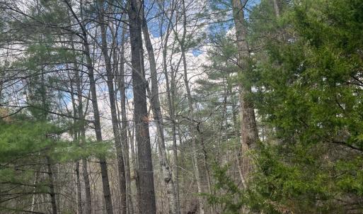 Photo #7 of Blue Ridge Lane, Monroe, VA 5.0 acres