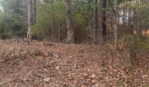 Photo #3 of Blue Ridge Lane, Monroe, VA 5.0 acres