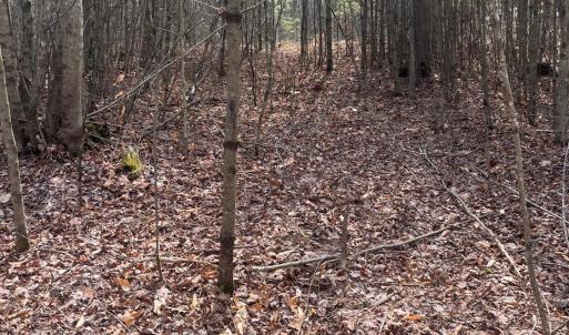 Photo #1 of Blue Ridge Lane, Monroe, VA 5.0 acres