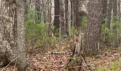 Photo #12 of Blue Ridge Lane, Monroe, VA 5.0 acres