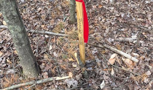 Photo #11 of Blue Ridge Lane, Monroe, VA 5.0 acres