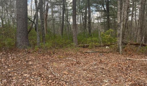 Photo #4 of Blue Ridge Lane, Monroe, VA 5.0 acres