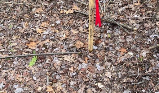 Photo #8 of Blue Ridge Lane, Monroe, VA 5.0 acres