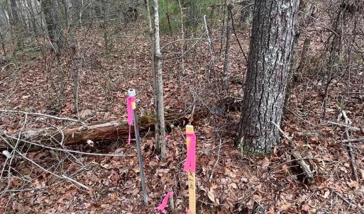 Photo #9 of Blue Ridge Lane, Monroe, VA 5.0 acres