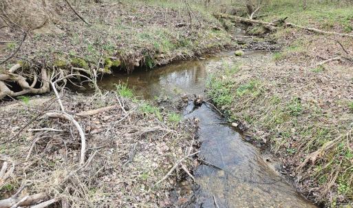 Photo #14 of James River Road, Buckingham, VA 83.8 acres