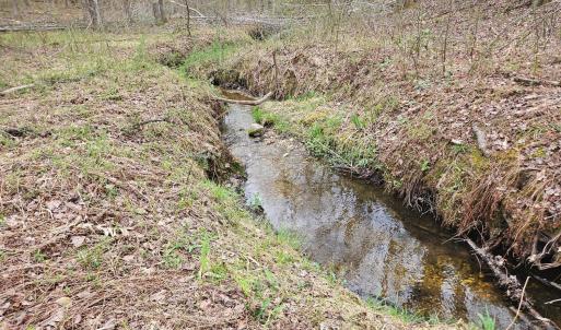 Photo #12 of James River Road, Buckingham, VA 83.8 acres