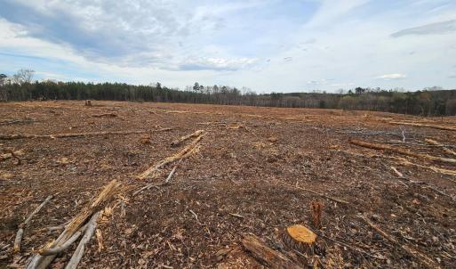 Photo #8 of James River Road, Buckingham, VA 83.8 acres