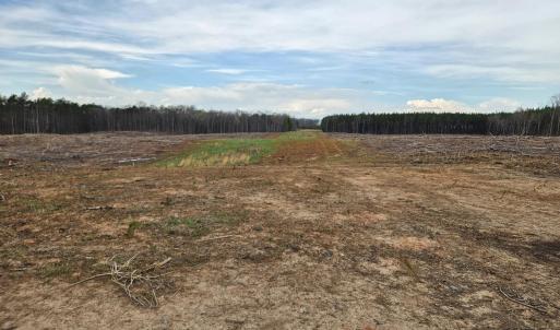 Photo #20 of James River Road, Buckingham, VA 83.8 acres