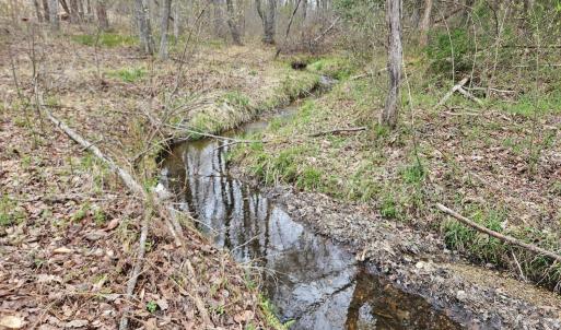 Photo #18 of James River Road, Buckingham, VA 83.8 acres