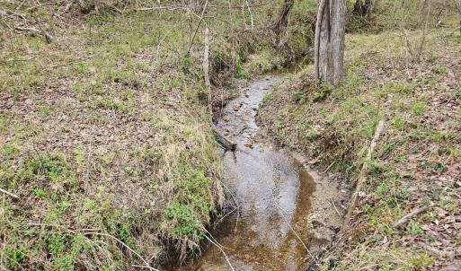 Photo #15 of James River Road, Buckingham, VA 83.8 acres