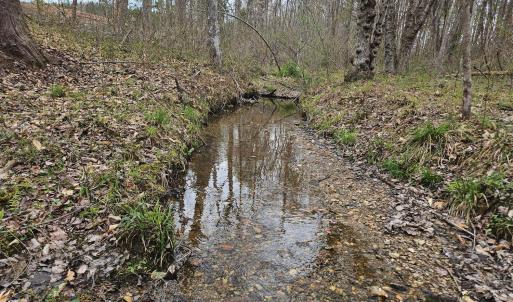 Photo #5 of James River Road, Buckingham, VA 83.8 acres