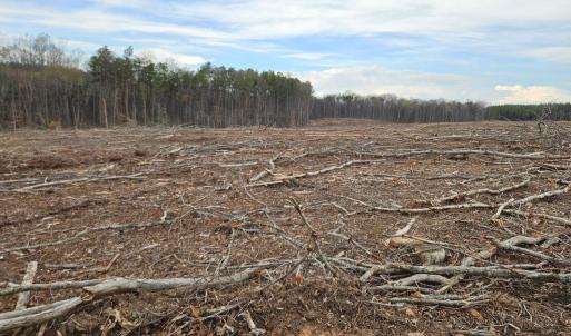 Photo #23 of James River Road, Buckingham, VA 83.8 acres