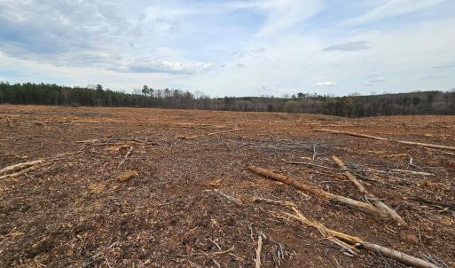 Photo #11 of James River Road, Buckingham, VA 83.8 acres