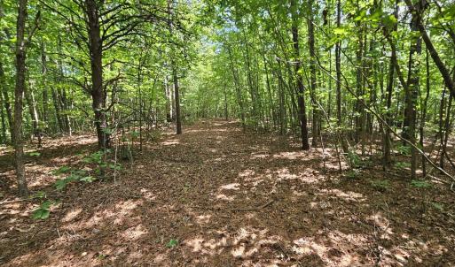 Photo #41 of James Anderson Highway, Gladstone, VA 100.0 acres