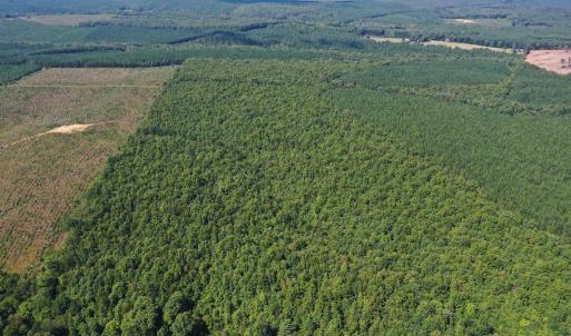 Photo #72 of James Anderson Highway, Gladstone, VA 100.0 acres