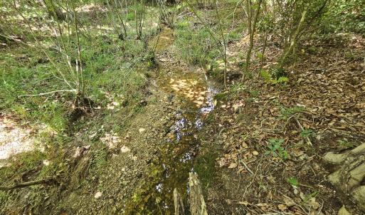 Photo #28 of James Anderson Highway, Gladstone, VA 100.0 acres