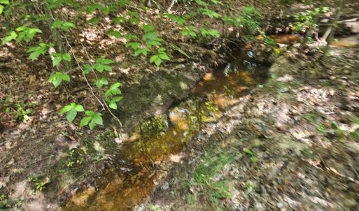 Photo #43 of James Anderson Highway, Gladstone, VA 100.0 acres