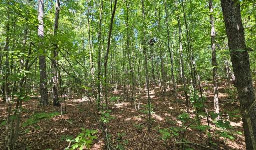 Photo #40 of James Anderson Highway, Gladstone, VA 100.0 acres