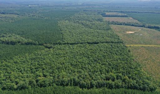Photo #48 of James Anderson Highway, Gladstone, VA 100.0 acres