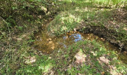 Photo #29 of James Anderson Highway, Gladstone, VA 100.0 acres