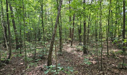 Photo #23 of James Anderson Highway, Gladstone, VA 100.0 acres