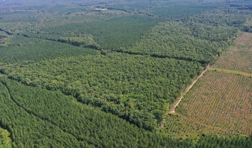 Photo #66 of James Anderson Highway, Gladstone, VA 100.0 acres