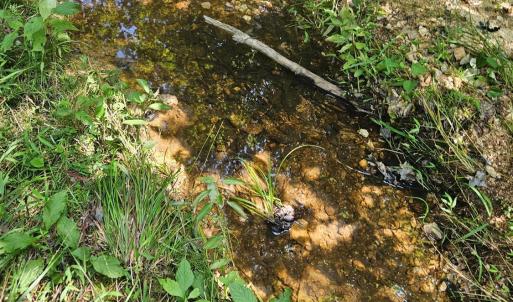 Photo #35 of James Anderson Highway, Gladstone, VA 100.0 acres