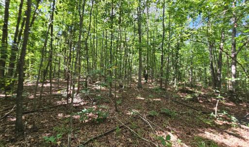 Photo #31 of James Anderson Highway, Gladstone, VA 100.0 acres