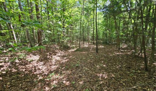 Photo #32 of James Anderson Highway, Gladstone, VA 100.0 acres